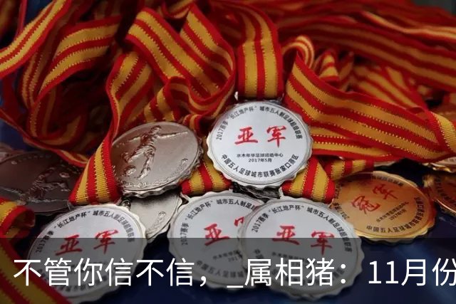 不管你信不信， 属相猪：11月份，有事即将发生，早做准备