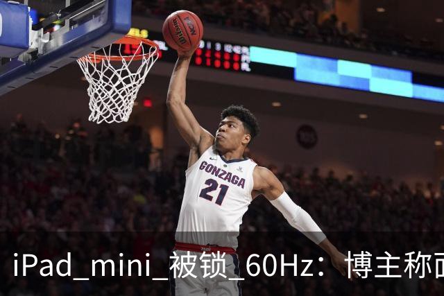 iPad mini 被锁 60Hz：博主称面板支持 120Hz，供应链却说没这回事